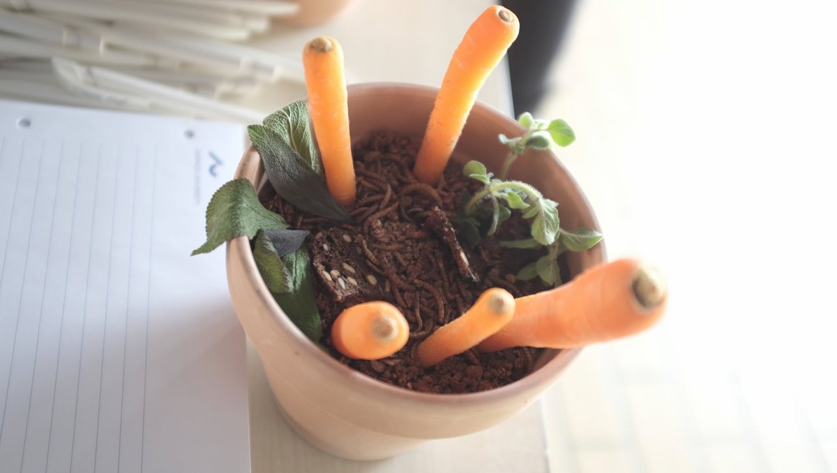 Urtepotteskjuler med gulerødder og spiselige orme