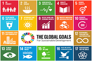 Image of World Goals