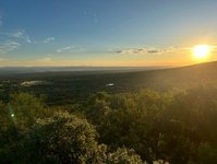 View from Ant's farm