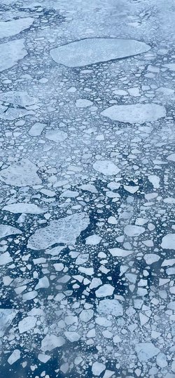 Sea ice