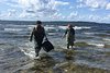 Sample collecting in Limfjorden