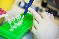 Viser hånden af en forsker i gang med at afpipettere i en række eppendorfrør 