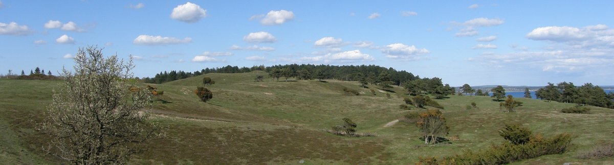 Landscape in Vestsjælland