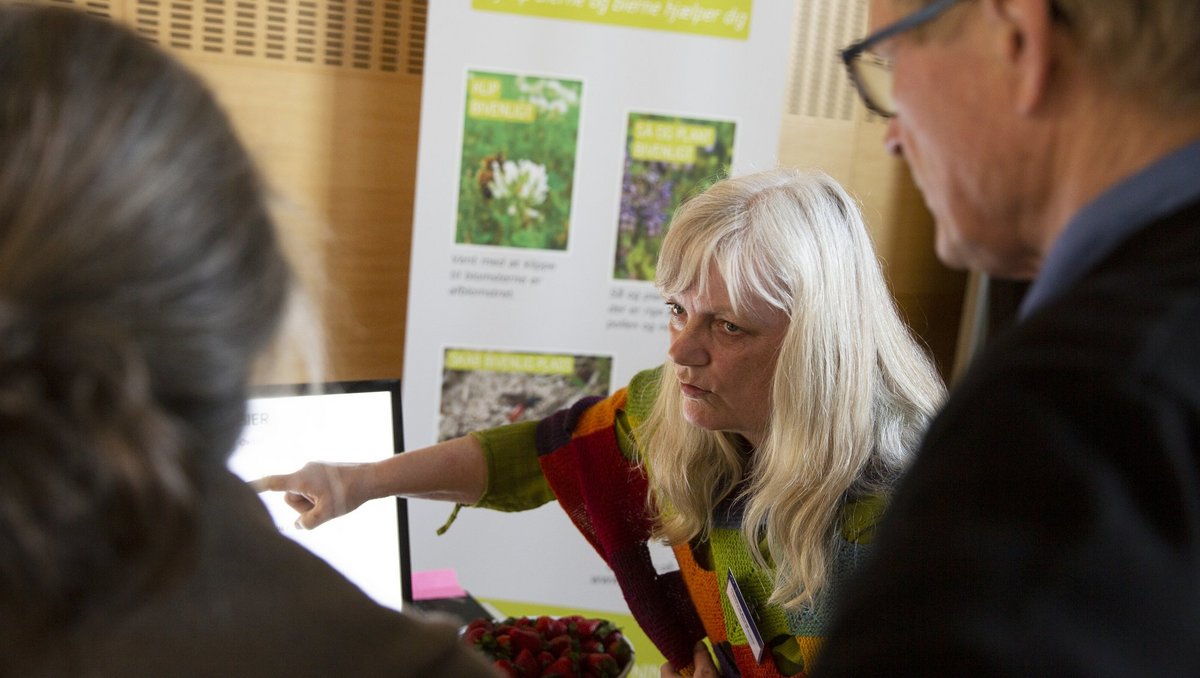 Forsker fortæller om bier