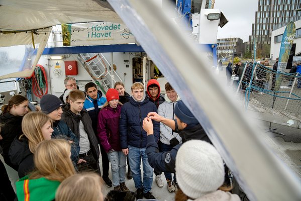 On the deck of Aurora, pupils become acquainted with several of the plants and animals that are found under the surface of the sea. Photo: Martin Dam Kristensen