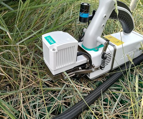 Photosynthesis measurements by means of an infrared gas analyzer