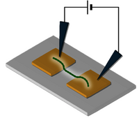 Schematic illustration of measuring conduction in cable bacteria