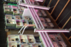 TPOINT experimental setup