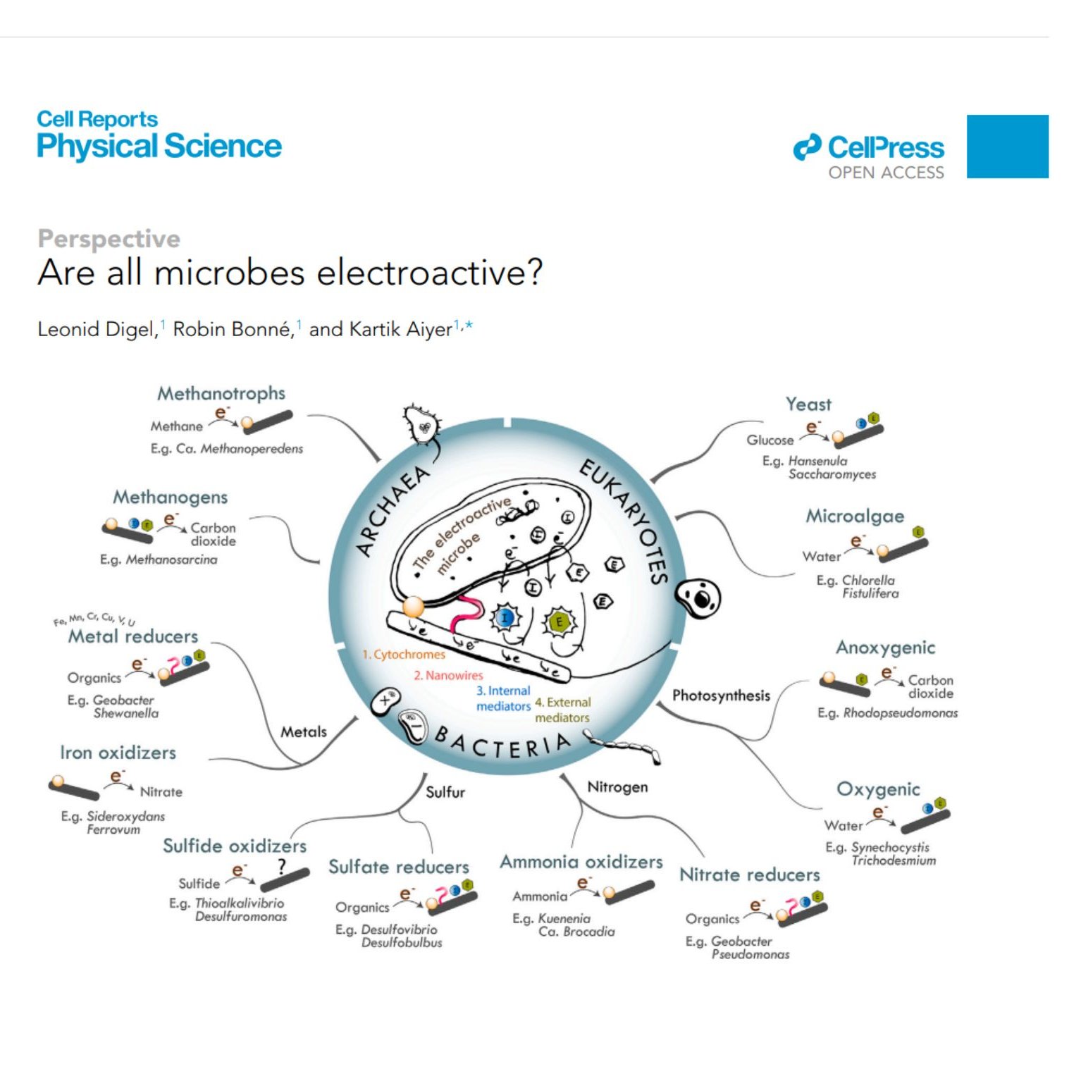 Microbial electroactivity could be a universal metabolic trait in all microbes spanning across the domains of life.