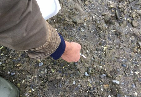 Image of sediment being taken from a beach