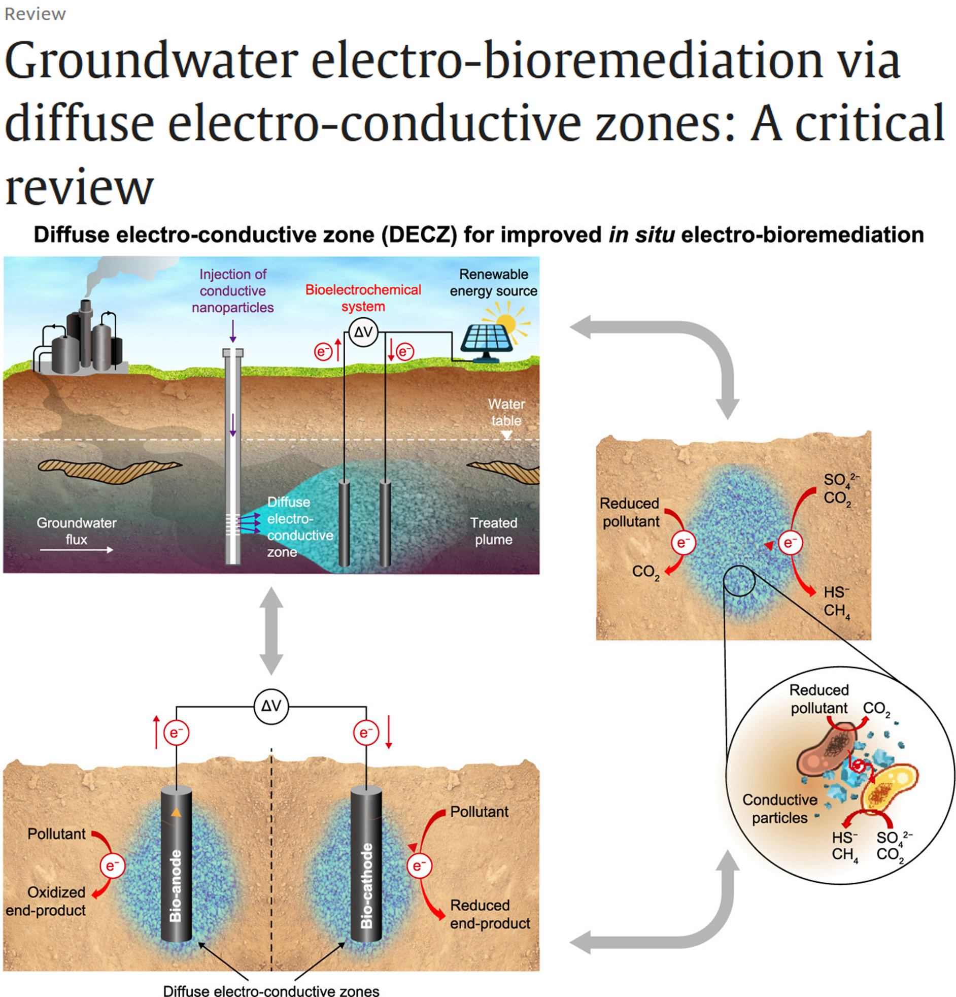 Can biological and mineral conductors enhance the volumetric influence of electrodes for in situ electro-bioremediation?