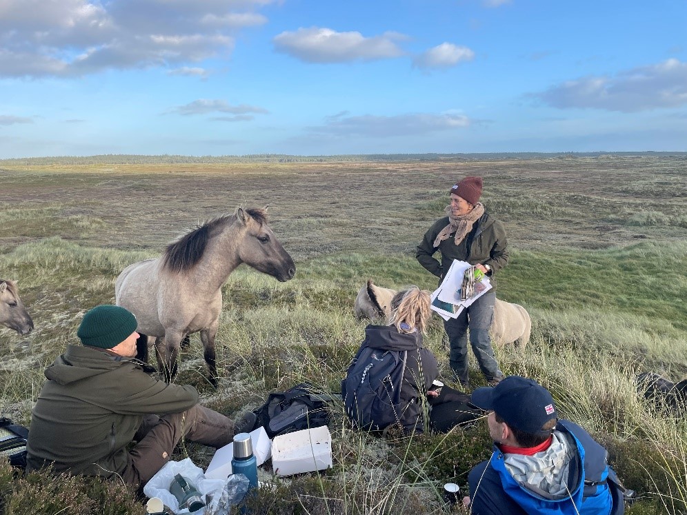 Horse and biologists on a grassy plain