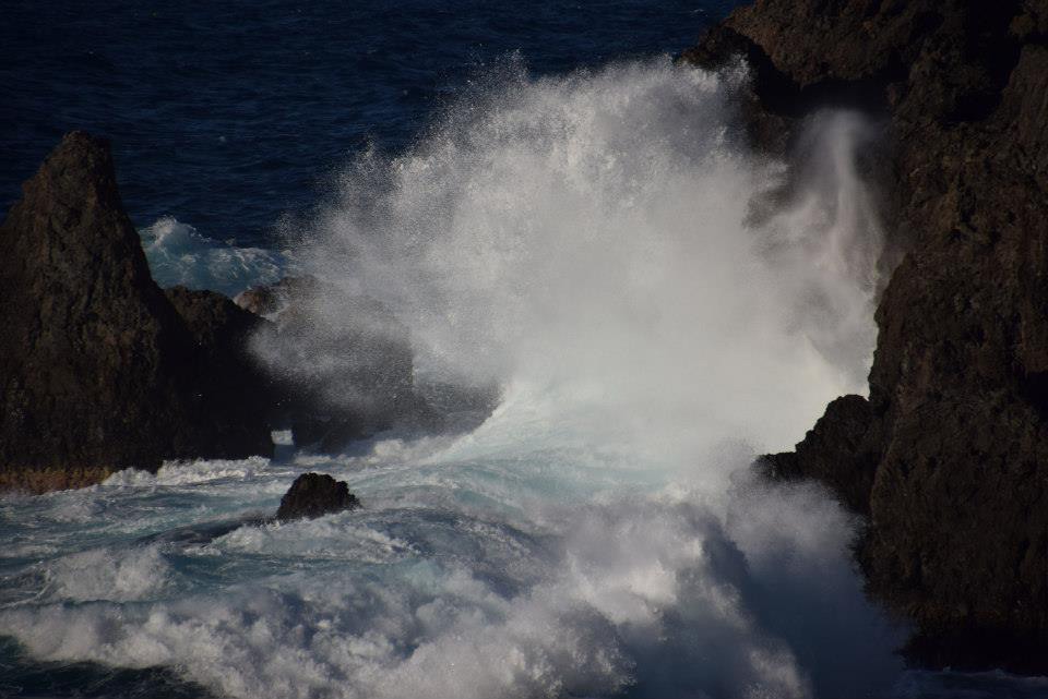 Sea spray is a source of airborne microorganisms as well as ice-nucleating proteins
