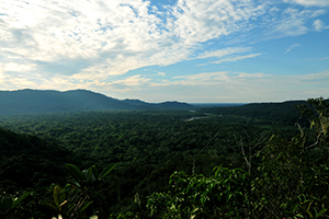 Amazonian landscape