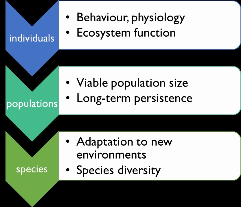 Illustration of individuals, populations and species