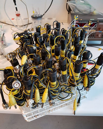 Mikrosensorer produceret i vores laboratorium og venter på at blive brugt