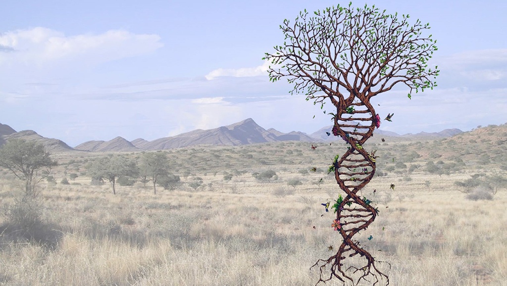 Illustration af et træ, der er snoet som en DNA-helix