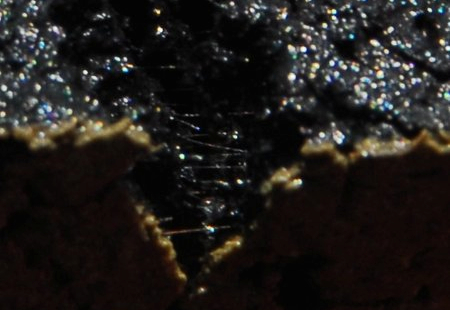 Closeup picture of the sediment with cable bacteria